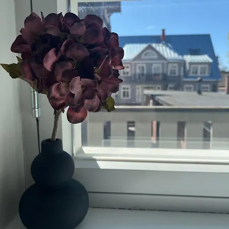 Kuninga Tuba Apartamento